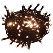 vidaXL Lichterkette mit 1000 LEDs 100 m 8 Lichteffekte IP44