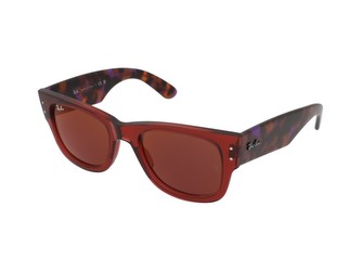 Ray Ban RB0840S