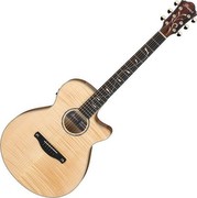 Ibanez AEG750-NT