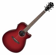 Ibanez AEG51-TRH