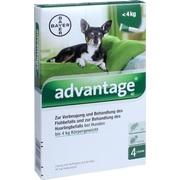 Elanco Advantage 40 Spot on Hund 4 Stk.