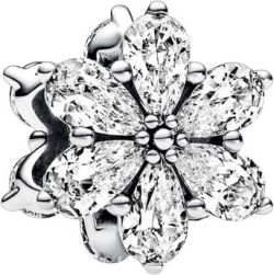 Pandora Funkelndes Herbarium Cluster Charm (792623C01) Pandora Funkelndes Herbarium Cluster Charm (792623C01)