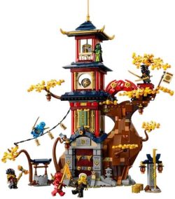 LEGO NINJAGO Tempel der Drachenpower (71795)