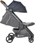 Ergobaby Metro+ Deluxe