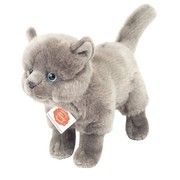 Hermann Teddy Kartäuserkatze stehend 20 cm