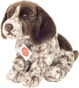 Hermann Teddy Deutsch Drahthaar Welpe 30 cm