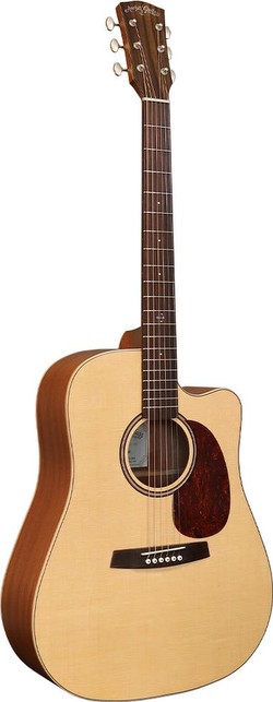 Anchor Guitars Eagle CW AE Anchor Guitars Eagle CW AE