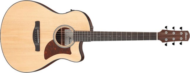 Ibanez AAM50CE