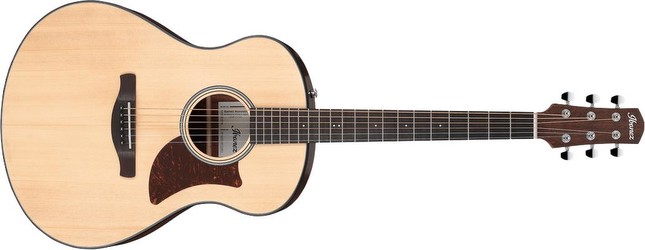 Ibanez AAM50
