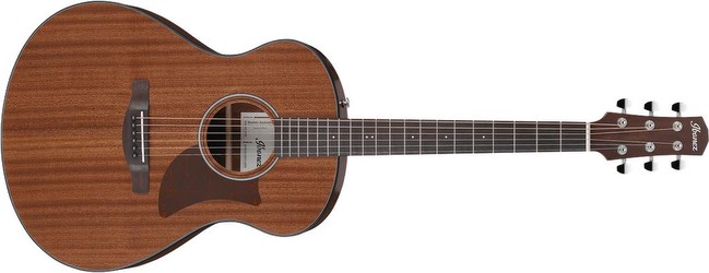 Ibanez AAM54