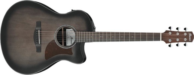 Ibanez AAM70CE