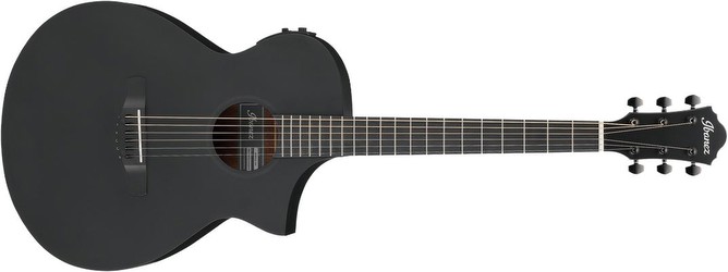 Ibanez AEWC13