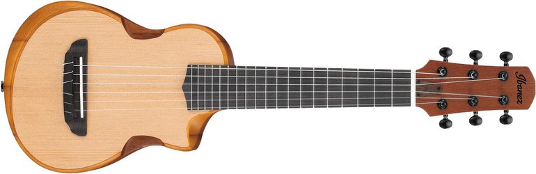 Ibanez AUP10N