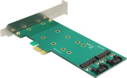 Delock PCI Express x1 Karte > 2 x intern M.2 Key B 110 mm (89473)