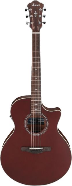 Ibanez AE100