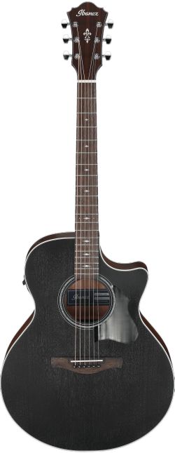 Ibanez AE140