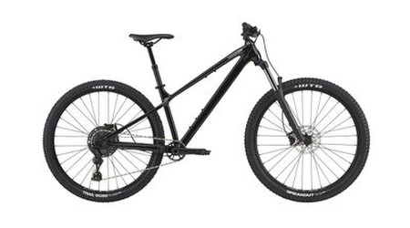 Cannondale Habit HT 2 2024