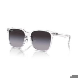 Ray Ban RB2206D