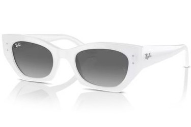 Ray Ban RB4430
