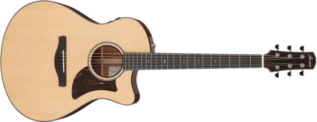 Ibanez AAM700CE