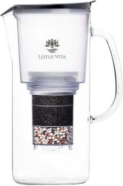 Lotus Vita Toya