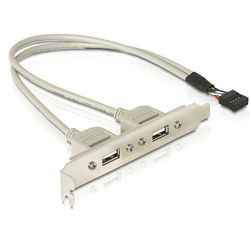 Delock Slotblech 2 x USB 2.0 Typ A Buchse extern (71000)