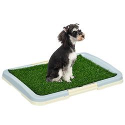 PawHut Welpentoilette mit Anti-Rutsch-Fußmatten 63 x 48,5 cm