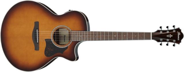 Ibanez AE160