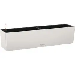 Lechuza Balconera Color 50