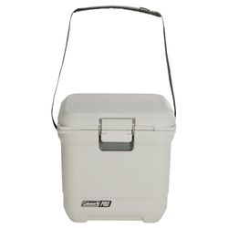 Coleman Pro 25 QT