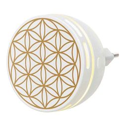 Primavera Life Aroma Duftstecker Easy