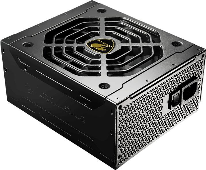 Cougar GEX 1050 1050W (31GE105003P01)