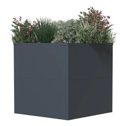 Westmann Talus S