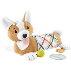 Fisher-Price 3-in-1 Hündchen Spielkissen (HJW10)