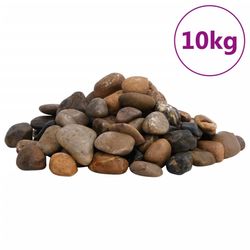 vidaXL Polierte Kiesel Mehrfarbig 2-5 cm 10 kg (155331)