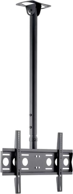 edbak CMS21