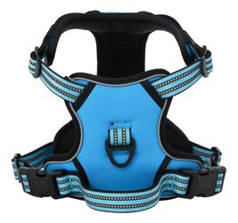 vidaXL Hundegeschirr mit Leine & Halsband Verstellbar L (4013391)