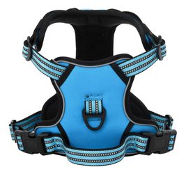 vidaXL Hundegeschirr mit Leine & Halsband Verstellbar XL (4013396)