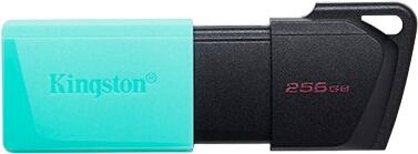 Kingston DataTraveler Exodia M 256GB (DTXM/256GB)