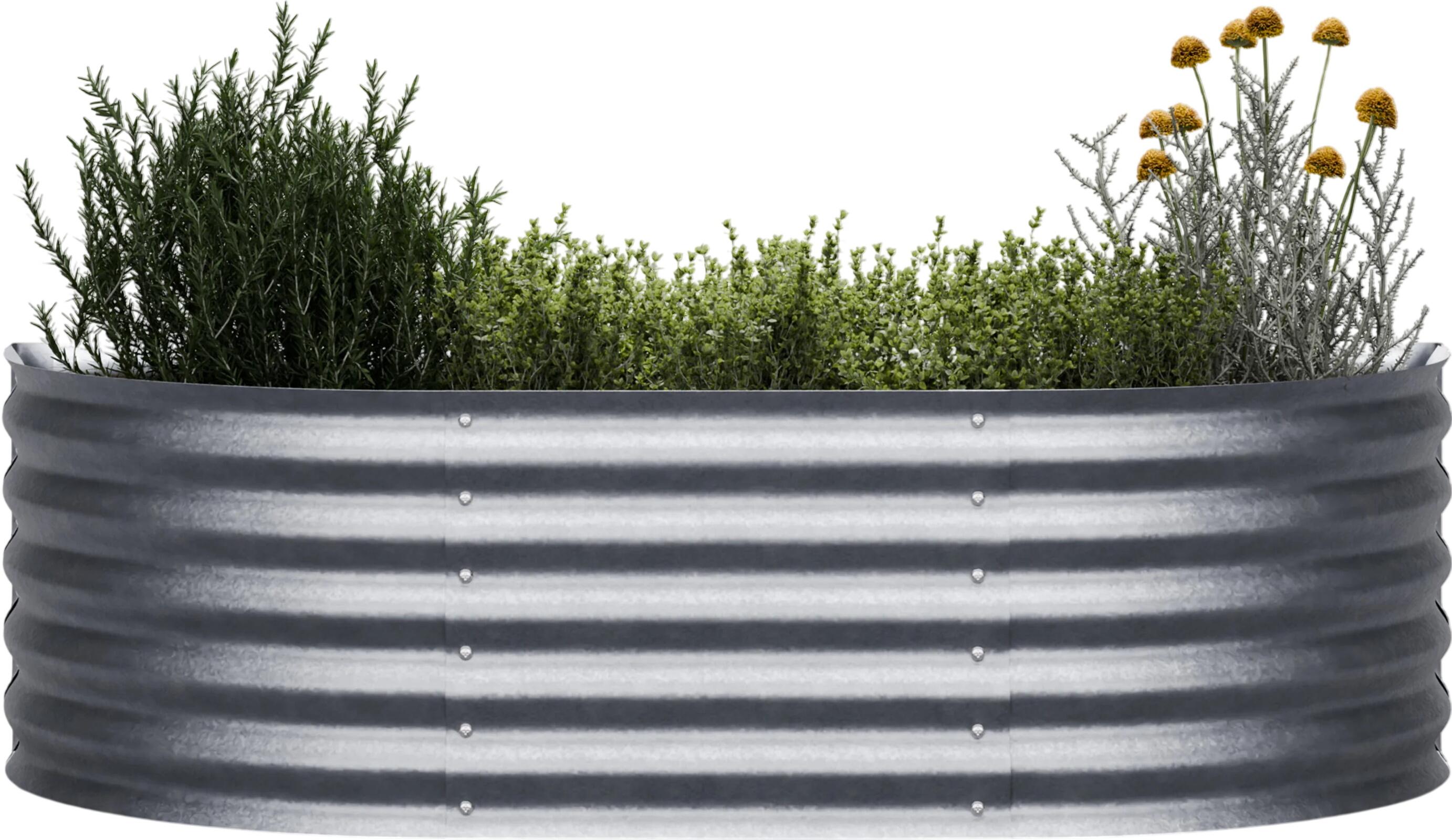 Blumfeldt Curvbox 150 x 60 x 43 cm