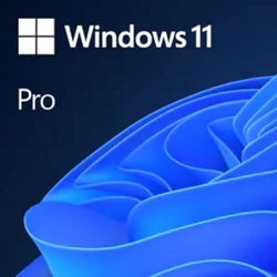 Microsoft Windows 11 Pro Multilingual