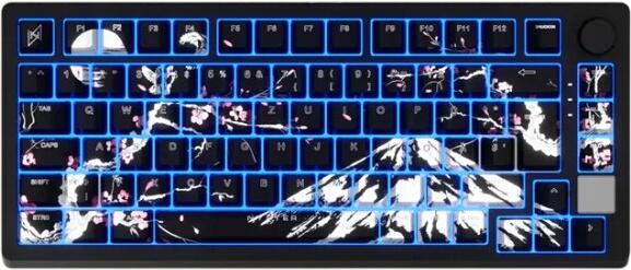 Nyfter Nyfboard HE 84K