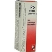Dr. Reckeweg GRIPPE GASTREU S R6, 22 ml (N1)