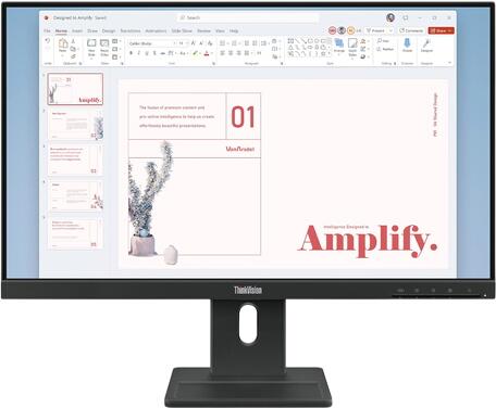 Lenovo ThinkVision E24-40 (64BAMAT1EU)