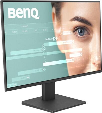 BenQ GW2491