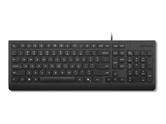 Lenovo Essential Wired (4Y41R64647)