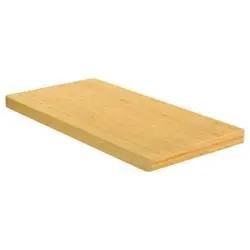 vidaXL Schneidebrett 100 x 50 x 4 cm (352767)