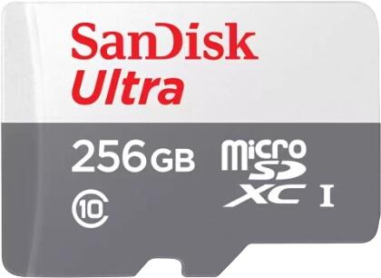 SanDisk Ultra microSDXC 256GB Kit (SDSQUNR-256G-GN6TA)
