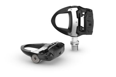 Garmin Rally RS110 (010-02875-11)