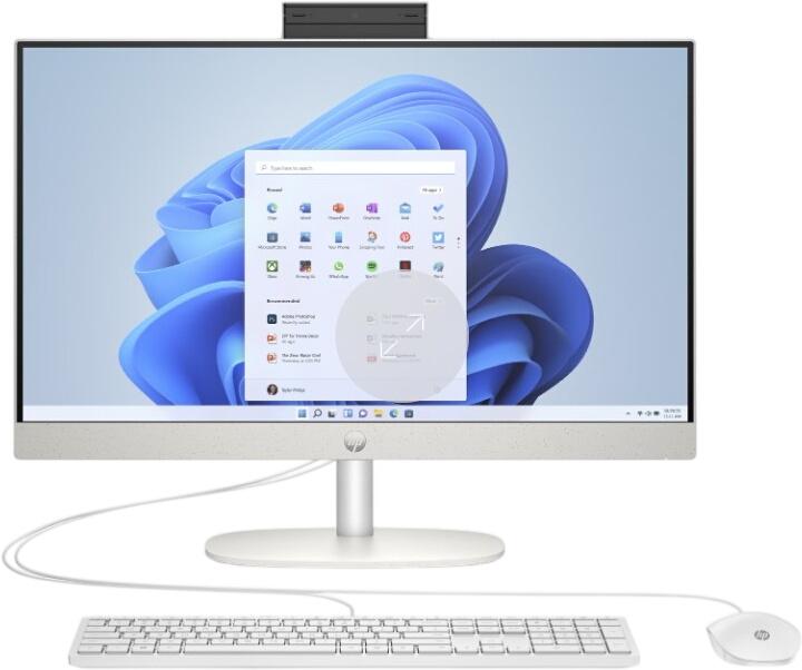 HP All-in-One 24-ct2450ng (BX8Y9EA)